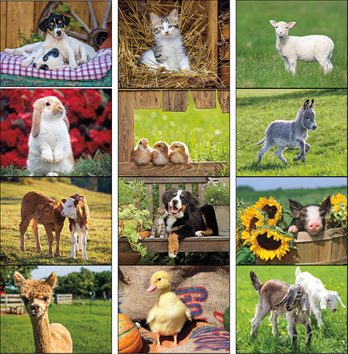 Baby Farm Animals 2023 Wall Calendar